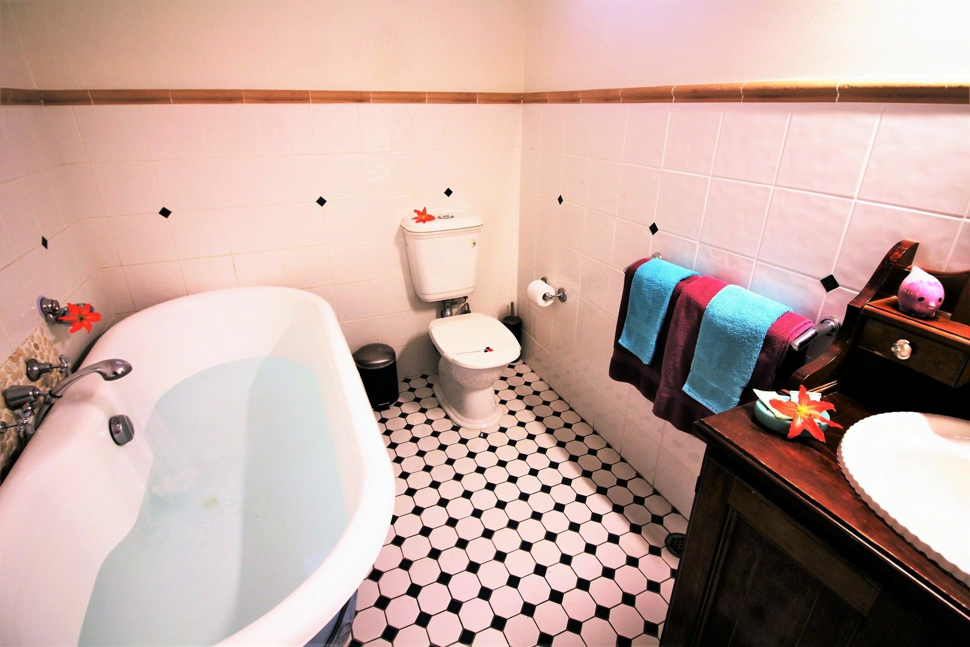 Ocean Paradise Studios & Apartments Coffs Harbour Exteriör bild